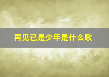 再见已是少年是什么歌