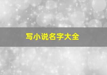 写小说名字大全