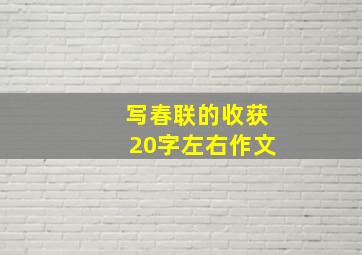 写春联的收获20字左右作文