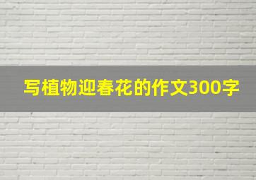 写植物迎春花的作文300字