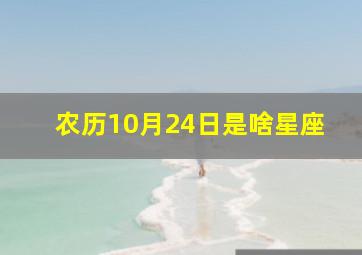 农历10月24日是啥星座