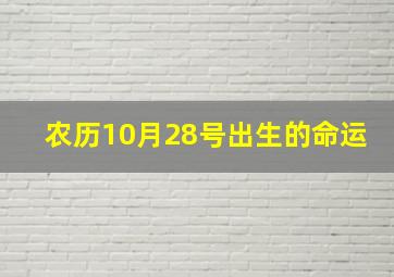 农历10月28号出生的命运