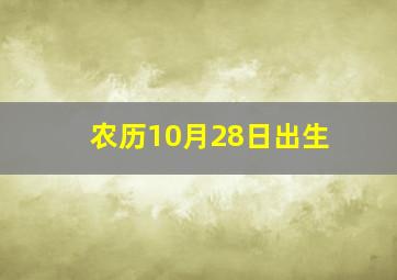 农历10月28日出生