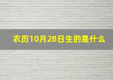 农历10月28日生的是什么