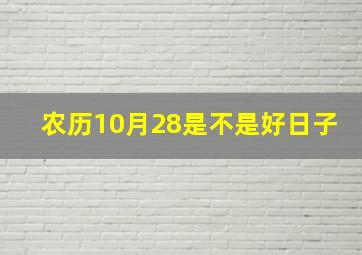 农历10月28是不是好日子