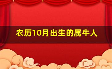 农历10月出生的属牛人