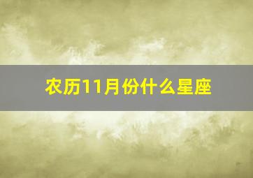 农历11月份什么星座