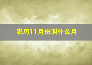 农历11月份叫什么月