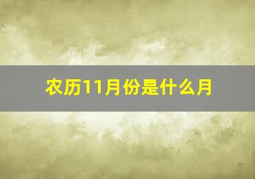 农历11月份是什么月