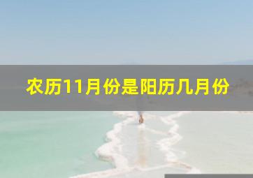 农历11月份是阳历几月份