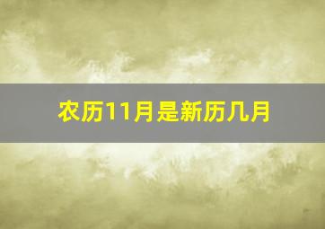 农历11月是新历几月