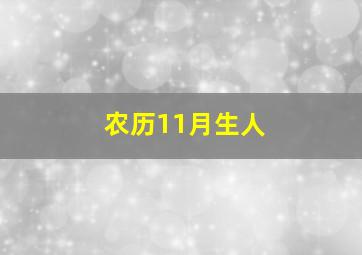 农历11月生人