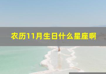 农历11月生日什么星座啊