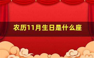 农历11月生日是什么座