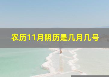 农历11月阴历是几月几号