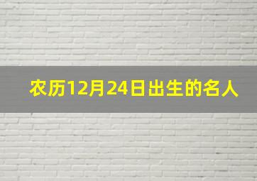 农历12月24日出生的名人