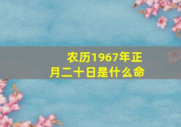 农历1967年正月二十日是什么命