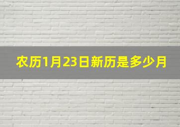 农历1月23日新历是多少月