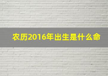 农历2016年出生是什么命