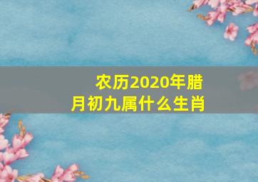 农历2020年腊月初九属什么生肖