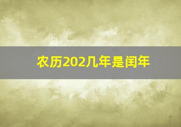 农历202几年是闰年