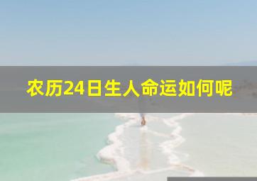 农历24日生人命运如何呢