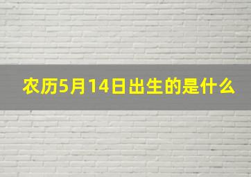 农历5月14日出生的是什么