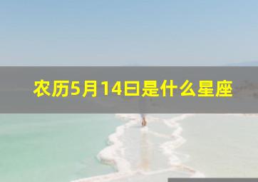 农历5月14曰是什么星座