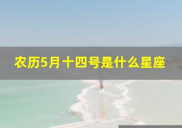 农历5月十四号是什么星座