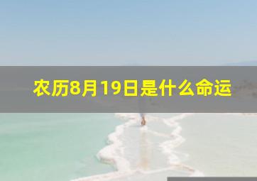 农历8月19日是什么命运