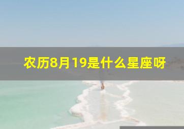 农历8月19是什么星座呀