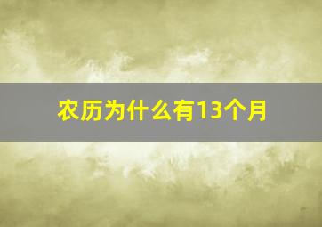 农历为什么有13个月