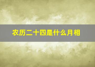 农历二十四是什么月相