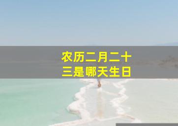 农历二月二十三是哪天生日