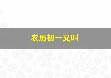 农历初一又叫