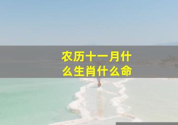 农历十一月什么生肖什么命