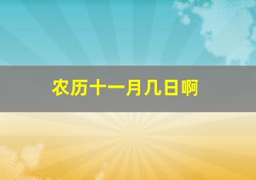 农历十一月几日啊