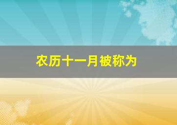 农历十一月被称为