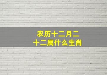 农历十二月二十二属什么生肖