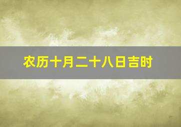 农历十月二十八日吉时