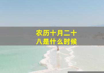 农历十月二十八是什么时候