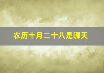 农历十月二十八是哪天