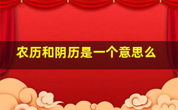 农历和阴历是一个意思么