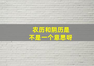 农历和阴历是不是一个意思呀