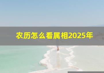 农历怎么看属相2025年