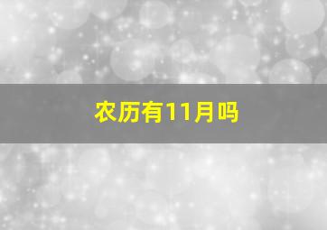 农历有11月吗