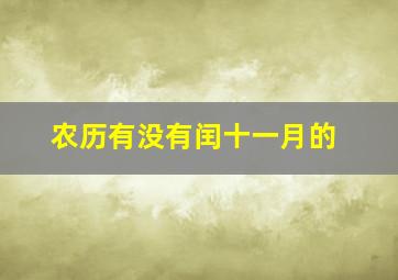 农历有没有闰十一月的