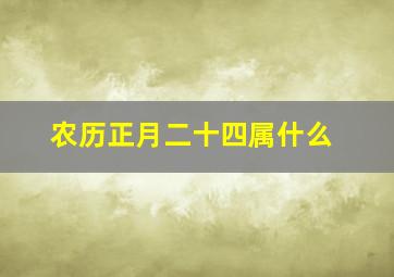 农历正月二十四属什么