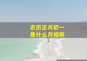 农历正月初一是什么月相啊