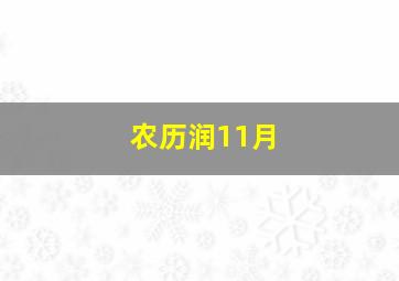 农历润11月